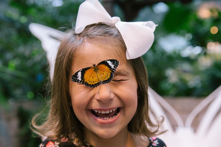 Branson Butterfly Palace Admission Ticket - thumb 2