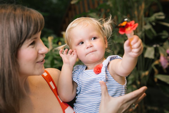 Branson Butterfly Palace Admission Ticket - thumb 5