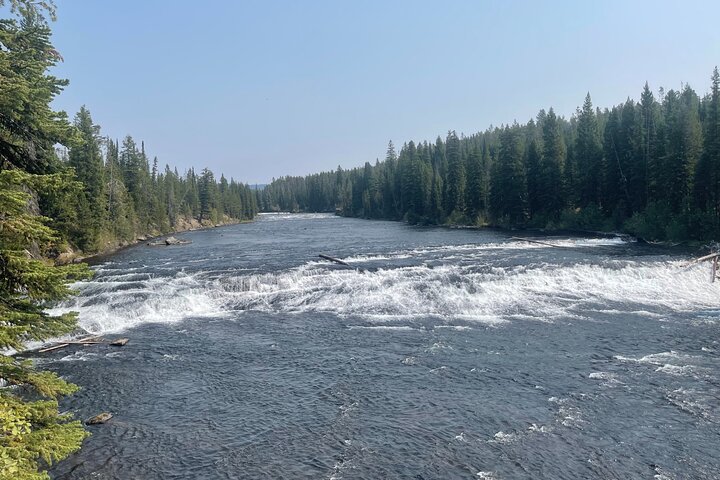 Off-roading Jeep Trek In The Yellowstone Area VIP Private Jeep Tour - thumb 1