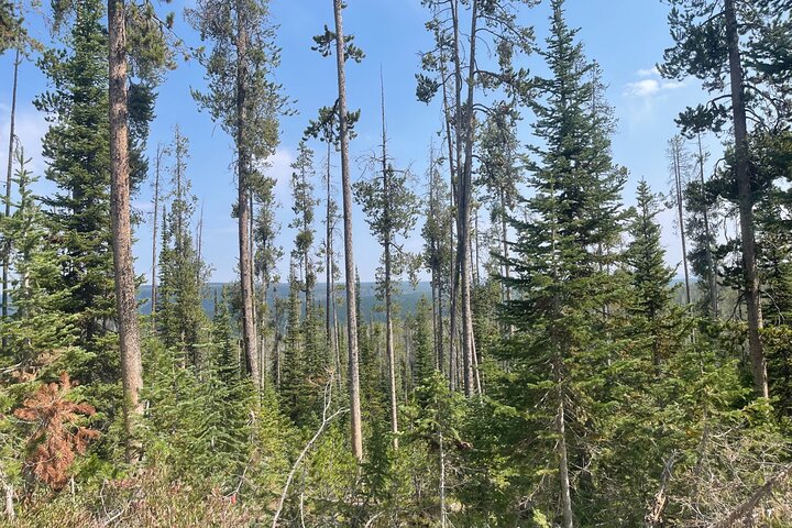 Off-roading Jeep Trek In The Yellowstone Area VIP Private Jeep Tour - thumb 2