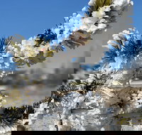 VIP Private Boutique Tour of Yellowstone's Lower Loop - West Yellowstone, MT - Accommodation Seattle