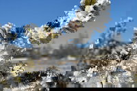  Accommodation Seattle