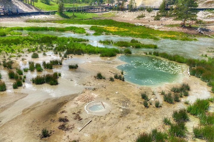 VIP Private Boutique Tour Of Yellowstone's Lower Loop - West Yellowstone, MT - thumb 1