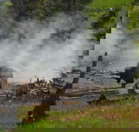 VIP Private Boutique Tour of Yellowstone's Upper Loop - West Yellowstone, MT - Accommodation Seattle