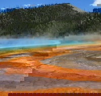 Yellowstone National Park - Full-Day Lower Loop Tour from West Yellowstone - Accommodation Seattle