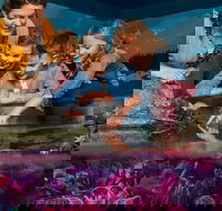 SEA LIFE New Jersey at American Dream - Accommodation Seattle