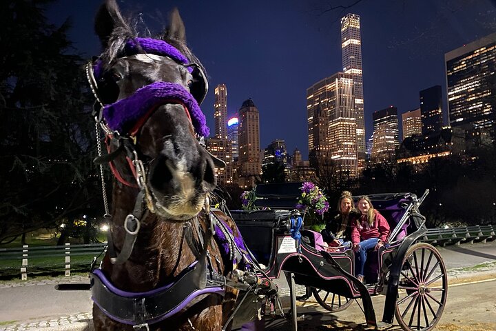 NYC Central Park&Rockefeller Center&Times Square Horse Carriage Private Tour - thumb 0