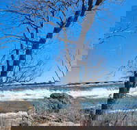 Small group niagara falls tour 12 max - Accommodation Seattle