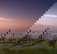 Private Custom Niagara Falls,Canada Winery Tour From Niagara Falls, NY - Accommodation Seattle