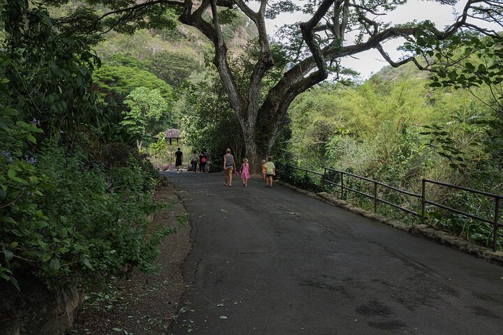 Oahu Grand Circle Island Day Tour - thumb 1