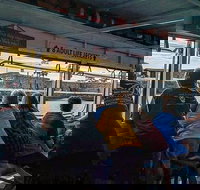 Dolphin and Wildlife Adventure of St. Augustine - Accommodation Seattle