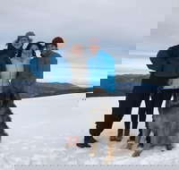 Blue Ridge Mountains Guided Hiking Tour with Local Guide - small groups!! - Accommodation Seattle