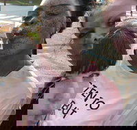 Scavenger Hunt Adventure in Pittsburgh by Crazy Dash - Accommodation Seattle