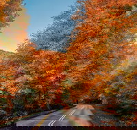 Scenic Driving Tour of the Blue Ridge Mountains - Accommodation Seattle