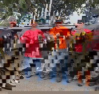 Lake Erie Walleye Fishing Charters - Accommodation Seattle