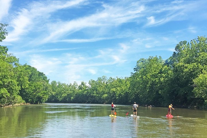 4-Mile Guided Paddleboard Tour On The French Broad River In Asheville - thumb 1