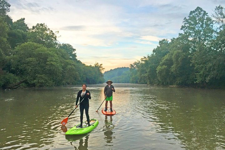 4-Mile Guided Paddleboard Tour On The French Broad River In Asheville - thumb 2