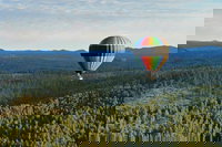 Ola Sd Accommodation Seattle