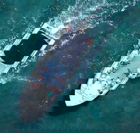 Private Hilton Head Sunset Boat Cruise Up to 14 Passengers - Accommodation Seattle