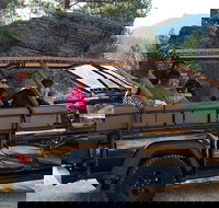 Jeep Bison Safari - Custer State Park - Accommodation Seattle