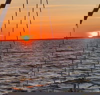 Private Hilton Head Sunset Sailing Tour with Dolphin Watching - Accommodation Seattle