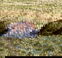 Private Tour - Badlands Delta 9 Missile Museum  Wall Drug - Accommodation Seattle