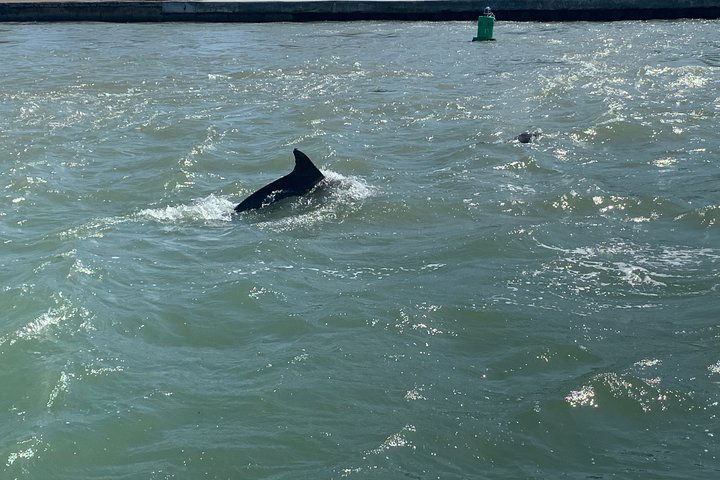 Party Cruise In Port Aransas - thumb 2