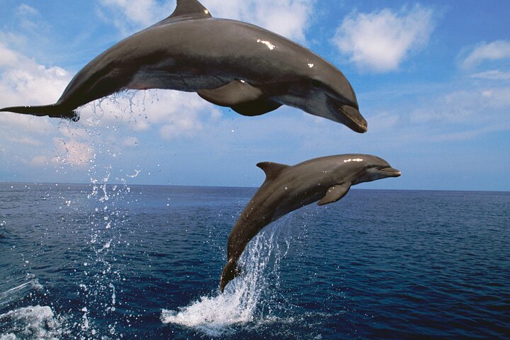 Party Cruise In Port Aransas - thumb 5