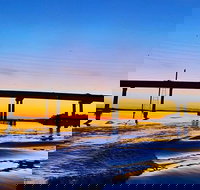 90 Minute Hilton Head Dolphin Tour - Accommodation Seattle