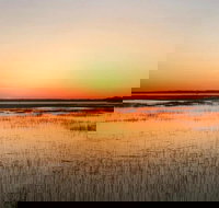 Private Hilton Head Sunset Dolphin Tour - Accommodation Seattle