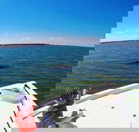 Private Hilton Head Dolphin Watching Tour with Waterfront Dining Stops - Accommodation Seattle