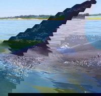 Hilton Head Jet Ski Adventure - Accommodation Seattle