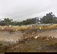 Private Badlands National Park Day Tour - Accommodation Seattle