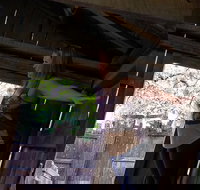 Cosmos Mystery Area Admission - Accommodation Seattle