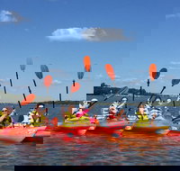 2-Hour Guided Kayak Nature Tour of Hilton Head - Accommodation Seattle