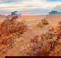 Monument Valley Backcountry Tour - Accommodation Seattle