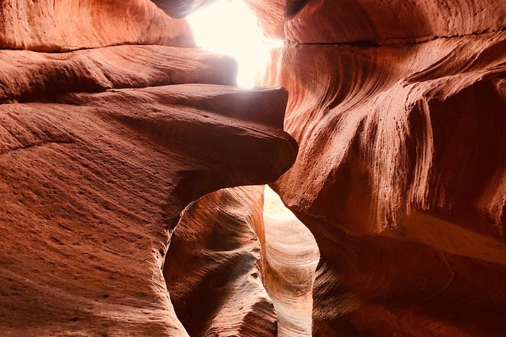 East Zion Experiences 4-Hour Slot Canyon Canyoneering UTV Tour - thumb 4