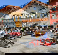 Small-Group Family-Friendly Private Cycling Sightseeing Tour - Accommodation Seattle