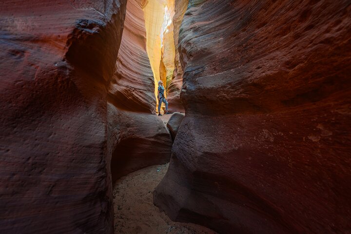East Zion Canyoneering: Elkheart Canyon & UTV Tour - thumb 1