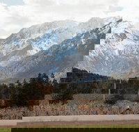 Mountain View E-Bike Experience - Accommodation Seattle