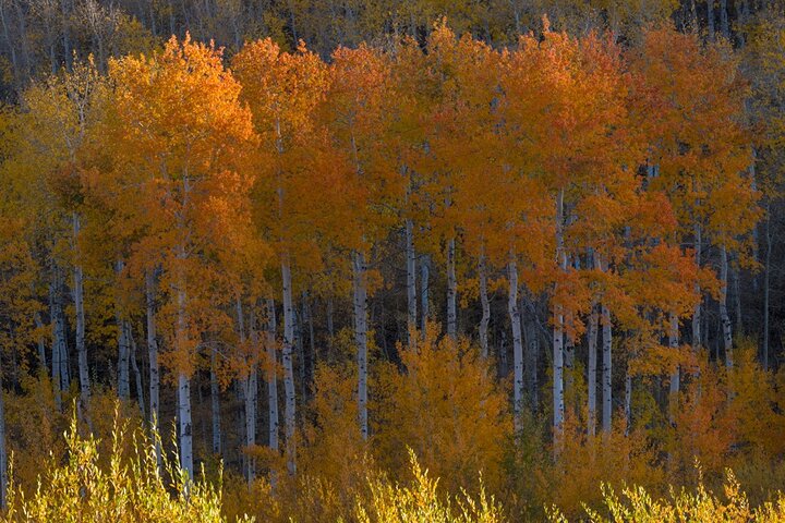 Private Photo Workshop And Sightseeing In Wasatch Mountains - thumb 2