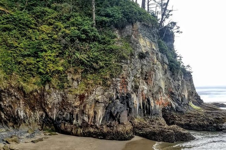 Oregon Coast Tour From Portland- Private Full Day Tour - thumb 1