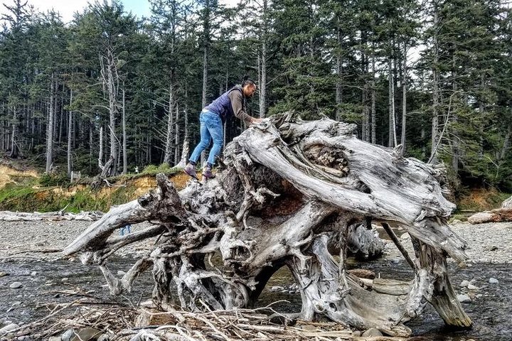 Oregon Coast Tour From Portland- Private Full Day Tour - thumb 5
