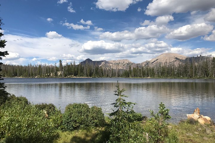 UTV Tour - Full Day - thumb 1