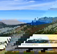 Hurricane Ridge Guided Tour in Olympic National Park - Accommodation Seattle