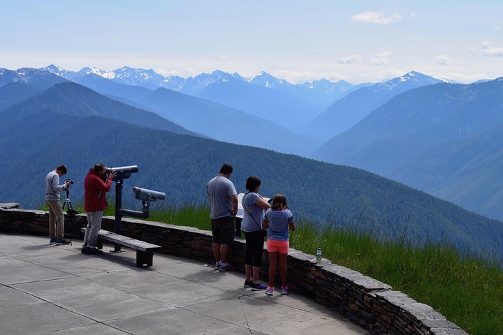 Hurricane Ridge Guided Tour In Olympic National Park - thumb 4