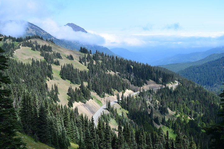 Hurricane Ridge Guided Tour In Olympic National Park - thumb 5
