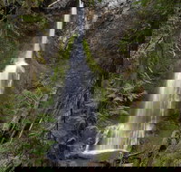 Lake Crescent and Marymere Falls Guided Tour in Olympic National Park - Accommodation Seattle