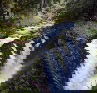 Sol Duc Falls Guided Tour in Olympic National Park - Accommodation Seattle