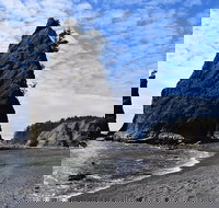 Hoh Rain Forest and Rialto Beach Guided Tour in Olympic National Park - Accommodation Seattle